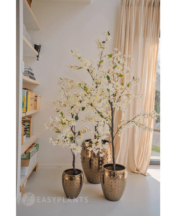 Drei künstliche Bougainvillea-Pflanzen mit einer Höhe von 180 cm, jeweils in einem Topf mit Goldstruktur, werden in einem sonnendurchfluteten Raum mit beigen Vorhängen und einem Bücherregal platziert und schaffen eine elegante und helle Innenatmosphäre.