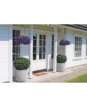 Ein weißes Haus mit doppelten Glastüren, zwei künstlichen Buchsbäumen auf UV-Stielen im römischen Stil (85 cm) auf beiden Seiten des Eingangs und zwei Hängekörben mit violetten Blumen über jedem Busch. Vor den Türen liegt eine Fußmatte.
