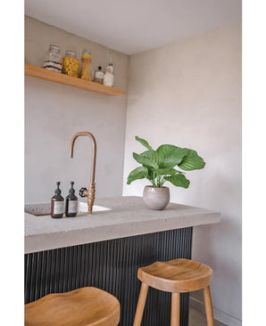 Eine moderne Küche mit Betonarbeitsplatte, goldenem Wasserhahn, künstlicher Calathea-Pflanze (46 cm), Seifenspender, zwei Holzhockern und einem Regal mit Gläsern mit Lebensmitteln und Zutaten vor einer hellen Wand.
