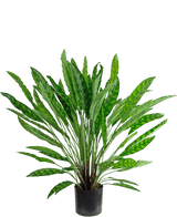 Künstliche Pflanze Calathea 85 cm – eine üppig grüne Zimmerpflanze im Topf mit langen, schlanken aufrechten Blättern in einem schwarzen Topf, isoliert auf Weiß.