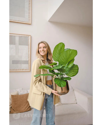 Eine Frau lächelt, während sie eine große, 70 cm große künstliche Calathea Fasciata UV-Pflanze in einem Topf hält; Sie steht in einem modernen Wohnzimmer mit beigen Möbeln und abstrakter Wandkunst.