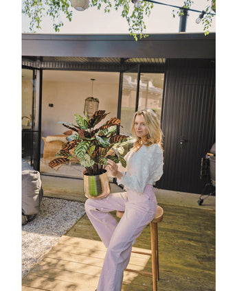 Eine blonde Frau in weißer Bluse und hellvioletter Hose sitzt draußen auf einem Hocker mit der künstlichen roten Topfpflanze Calathea Makoyana UV 75 cm auf einer Holzterrasse vor einem modernen Haus mit Glastüren.