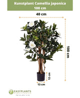 Künstliche Pflanze Camellia japonica, 100 cm hoch und 40 cm breit, geliefert in einem schwarzen Topf von 13 x 12 cm. Die japanische Rose hat grüne Blätter und weiße Kunstblumen, dargestellt mit Maßangaben.