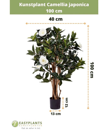 Künstliche Pflanze Camellia japonica, 100 cm hoch und 40 cm breit, geliefert in einem schwarzen Topf von 13 x 12 cm. Die japanische Rose hat grüne Blätter und weiße Kunstblumen, dargestellt mit Maßangaben.