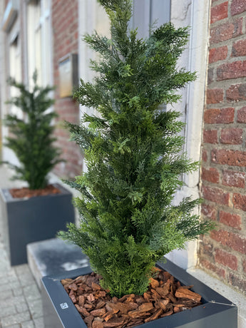 Eine Nahaufnahme der künstlichen Pflanze Conifer UV 120 cm, einer grünen künstlichen Koniferenpflanze in einem rechteckigen schwarzen Pflanzgefäß mit braunem Rindenmulch, ausgestellt auf einem Bürgersteig in der Nähe eines Backsteingebäudes; Ein weiterer solcher Pflanzer ist im Hintergrund.