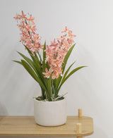 Das künstliche Cymbidium 58 cm rosa, eine grüne Pflanze mit langen Blättern und langen Stielen mit hellrosa Blüten in einem weißen Keramiktopf, steht auf einem hellen Holztisch vor einer schlichten weißen Wand.