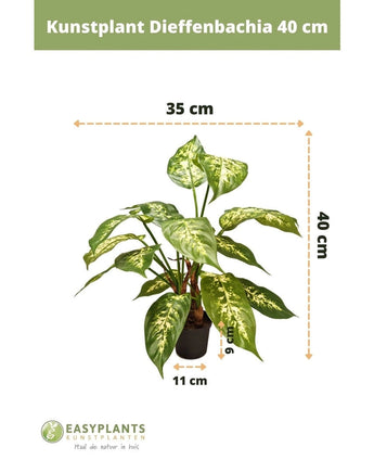 Kunstpflanze Dieffenbachia 40 cm: grüne Blätter mit weißen Mustern. Höhe 40 cm, Breite 35 cm. Topf Ø11 cm, Höhe 9,5 cm. Perfekt für dekorative Töpfe. Easyplants Kunstplanten-Logo unten.