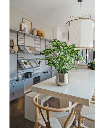 Modernes Esszimmer mit weißem Tisch, Holzstühlen und einer künstlichen Dieffenbachia-Pflanze 75 cm als Mittelpunkt. Regale mit Büchern und Deko säumen die Rückwand und über dem Tisch hängt eine große Lampe.