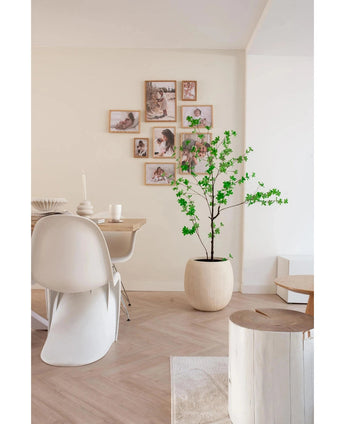 Ein moderner, minimalistischer Essbereich mit weißen Stühlen, einem Holztisch und der künstlichen Enkianthus-Pflanze (150 cm), die für Grün sorgt, ergänzt durch eine Galeriewand mit gerahmten Fotos auf einem neutralen Hintergrund.