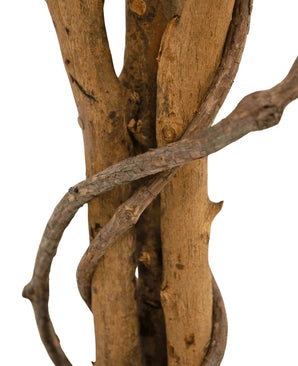 Eine Nahaufnahme der Kunstpflanze Ficus Grün/Weiß 90 cm zeigt die braunen Zweige, um die sich eine Ranke windet, vor einem weißen Hintergrund.
