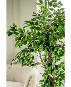 Die Kunstpflanze Ficus Tropical Liana 180 cm mit mehreren Zweigen steht neben einem hellen Polsterstuhl in einem hellen, sanft beleuchteten Raum.