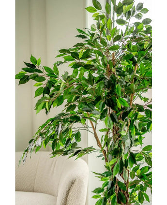 Die Kunstpflanze Ficus Tropical Liana 180 cm mit mehreren Zweigen steht neben einem hellen Polsterstuhl in einem hellen, sanft beleuchteten Raum.