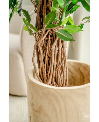 Nahaufnahme des geflochtenen braunen Stamms und der grünen Blätter der Kunstpflanze Ficus Tropical Liana 180 cm in einem glatten, hellen Pflanzgefäß aus Holz. Ein beige gepolsterter Stuhl tritt in den Hintergrund und hebt die lebensechten Details und das lebendige Grün dieser großen Kunstpflanze hervor.