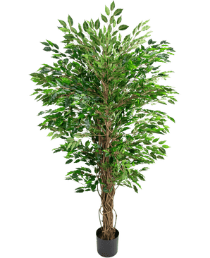Die künstliche hawaiianische Ficus-Liane (150 cm) hat üppige grüne Blätter und mehrere gedrehte braune Stängel in einem kleinen schwarzen Topf vor einem schlichten weißen Hintergrund.