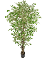 Die Kunstpflanze Hawaiian Ficus Liana 180 cm ist ein hoher Kunstbaum mit grünen und weißen, bunten Blättern in einem schwarzen Topf vor einem schlichten weißen Hintergrund.