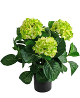 Die künstliche Hortensie UV 43 cm Grünpflanze hat drei große Büschel hellgrüner Hortensienblüten mit dunkelgrünen Blättern in einem Topf vor einem weißen Hintergrund.