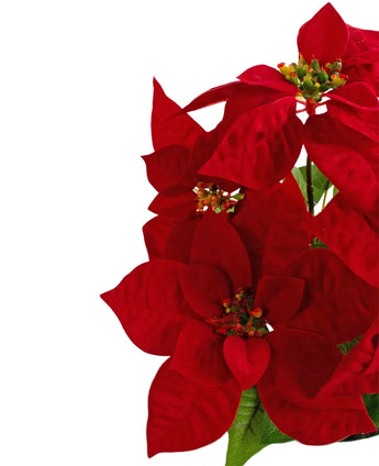Die Kunstpflanze Weihnachtsstern 44 cm rot hat leuchtend rote Weihnachtssternblüten mit grünen Herzen und Blättern, rechts vor einem schlichten weißen Hintergrund.
