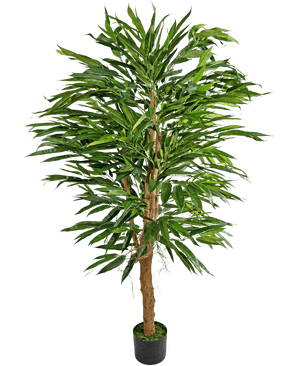 De Kunstplant Longfolia 150 cm is een hoge kunstbamboe met meerdere bruine stengels en lange, smalle groene bladeren, weergegeven in een kleine zwarte pot tegen een effen witte achtergrond.