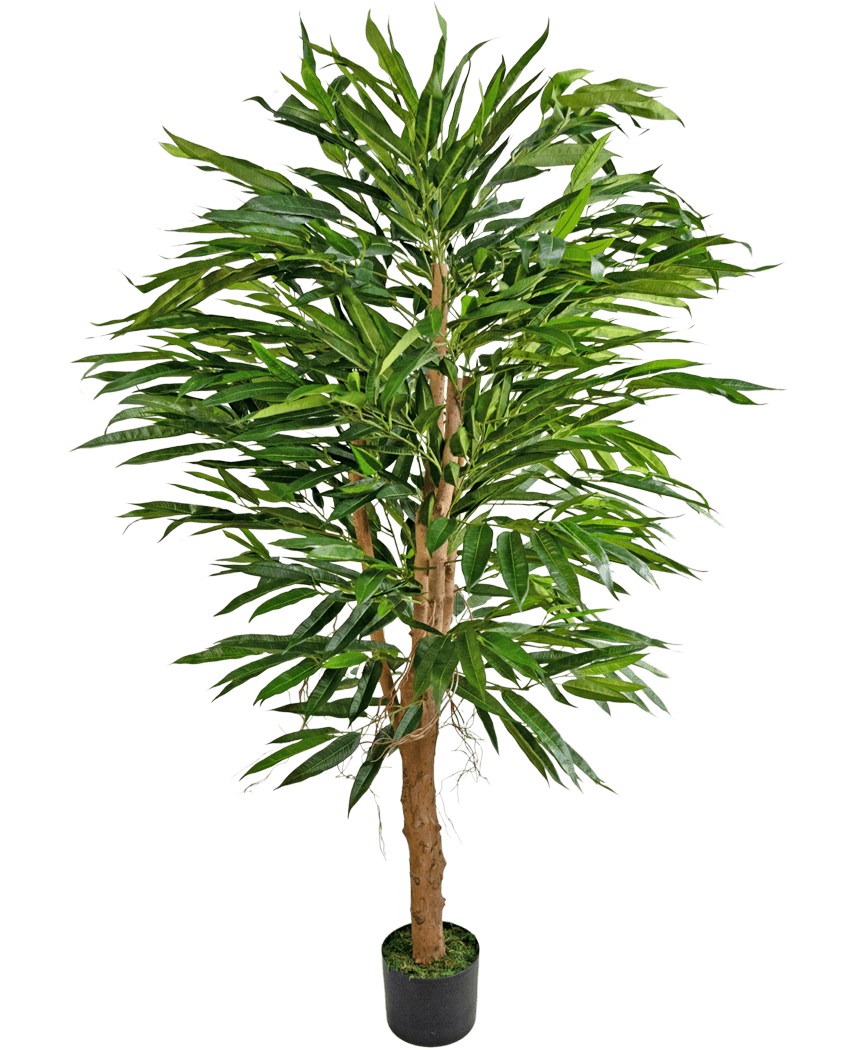 Die Kunstpflanze Longfolia 150 cm ist ein hoher künstlicher Bambus mit mehreren braunen Stielen und langen, schmalen grünen Blättern, der in einem kleinen schwarzen Topf vor einem schlichten weißen Hintergrund präsentiert wird.