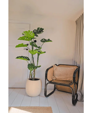 Eine künstliche Pflanze Monstera 150 cm steht neben einem Rattanstuhl mit braunem Kissen in einem hellen, minimalistischen Raum mit weißen Wänden, hellen Holzböden und beigen Vorhängen.