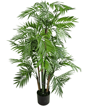 Die Kunstpflanze Parlour 120 cm ist eine hohe Palme in einem Topf mit langen, schlanken grünen Blättern und mehreren braunen Stielen, dargestellt vor einem schlichten weißen Hintergrund.
