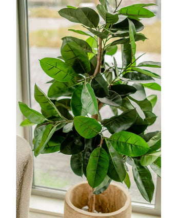 Die künstliche Gummipflanze 150 cm wird in der Nähe eines Fensters platziert. Die großen, glänzenden, dunkelgrünen Blätter fangen das natürliche Licht ein und verleihen jedem Raum ein elegantes Aussehen.