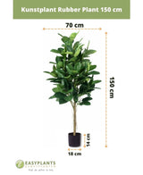 Kunstpflanze Gummipflanze 150 cm mit dunkelgrünen Blättern im stilvollen schwarzen Topf. Höhe: 150 cm, Breite: 70 cm, Topfdurchmesser: 18 cm, Topfhöhe: 14 cm – ideal für dekorative Töpfe.