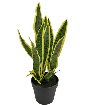Die Kunstpflanze Sansevieria Laurentii 44 cm hat lange, aufrechte grüne Blätter mit gelben Rändern und wird in einem dekorativen Topf vor einem schlichten weißen Hintergrund geliefert.