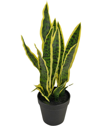 Die Kunstpflanze Sansevieria Laurentii 44 cm hat lange, aufrechte grüne Blätter mit gelben Rändern und wird in einem dekorativen Topf vor einem schlichten weißen Hintergrund geliefert.