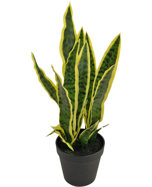 Die Kunstpflanze Sansevieria Laurentii 44 cm hat lange, aufrechte grüne Blätter mit gelben Rändern und wird in einem dekorativen Topf vor einem schlichten weißen Hintergrund geliefert.