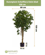 Das künstliche Schefflera-Kleinblatt 150 cm hat kleine Blätter in einem dekorativen Topf, ist 150 cm hoch, 60 cm breit, bei einer Topfhöhe von 14 cm und einem Durchmesser von 18 cm. Die Maße werden mit Pfeilen angezeigt.