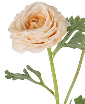 Eine Nahaufnahme der künstlichen Ranunkeln Real Touch Crème 60 cm zeigt die blass pfirsichfarbenen Blütenblätter und grünen Blätter auf einem hellgrünen Stiel vor einem weißen Hintergrund.