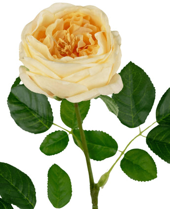 Die künstliche Gartenrose „Anniken“ Real Touch gelb 72 cm hat eine blühende hellgelbe Rose mit geschichteten Blütenblättern und grünen Blättern am Stiel vor einem weißen Hintergrund.
