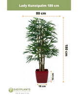Lady Kunstpalm 180 cm in een rode pot, 180 cm hoog en 80 cm breed; pot is 14 cm hoog en 18 cm breed. Merklogo plus afmetingen getoond-perfect als stijlvolle groene kunstplant voor elke ruimte.
