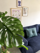 Im Vordergrund ist prominent eine Kunstpflanze Monstera 120 cm platziert. Dahinter steht ein dunkelblaues Sofa mit hellblauem Kissen vor einer beigen Wand mit drei gerahmten Kunstwerken.