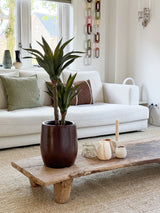 Ein modernes Wohnzimmer mit einem weißen Sofa, grünen und braunen Kissen, einem mit Kerzen und der künstlichen Agavenpflanze 76 cm dekorierten Couchtisch aus Holz sowie einer Wanddekoration aus Kettengeflecht. Durch die Fenster hinter dem Sofa fällt natürliches Licht ein.