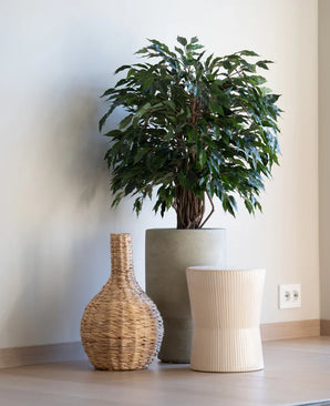 Eine Kunstpflanze Ficus Liana 90 cm steht in einem grauen Pflanzgefäß neben einer geflochtenen Vase und einem leicht gerippten Hocker, alles auf einem Holzboden vor einer schlichten weißen Wand.