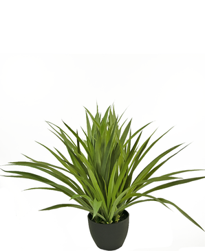 Die künstliche Sukkulente 40 cm ist eine künstliche grüne, stachelige Zimmerpflanze in einem schwarzen Topf vor einem schlichten weißen Hintergrund.
