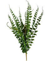 Der künstliche Stichfarn 48 cm besteht aus künstlichen Farnzweigen mit langen, schlanken Stielen und fein detaillierten Blättern, die aufrecht vor einem schlichten weißen Hintergrund stehen.
