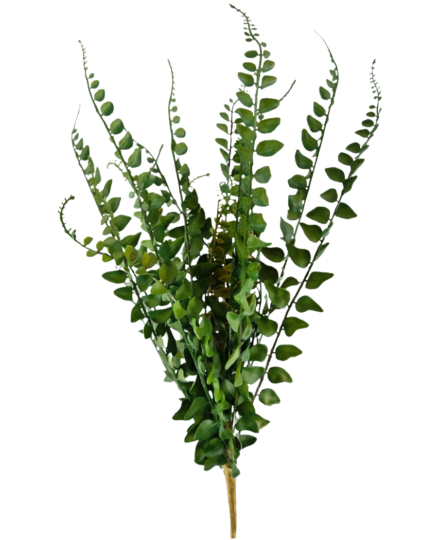 Der künstliche Stichfarn 48 cm besteht aus künstlichen Farnzweigen mit langen, schlanken Stielen und fein detaillierten Blättern, die aufrecht vor einem schlichten weißen Hintergrund stehen.