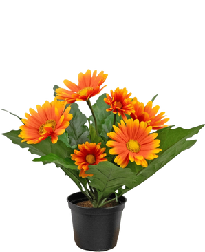 Die künstliche Gerbera UV 28 cm orange Pflanze hat künstliche orange und gelbe gänseblümchenartige Blüten mit grünen Blättern in einem schwarzen Topf, perfekt, um jeden Raum aufzuhellen.