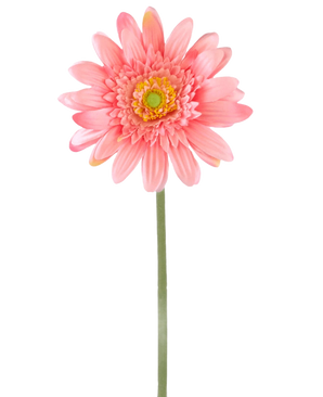 Eine künstliche Blumen-Gerbera 55 cm rosa besteht aus einer einzelnen rosa Gerbera mit einem gelbgrünen Herzen auf einem langen grünen Stiel vor einem schlichten weißen Hintergrund.