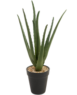 Die Kunstpflanze Aloe Vera 33 cm hat lange, dünne grüne Blätter, die in kleinen Steinen in einem eleganten schwarzen Topf vor einem weißen Hintergrund nach oben wachsen.