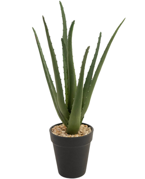Die Kunstpflanze Aloe Vera 33 cm hat lange, dünne grüne Blätter, die in kleinen Steinen in einem eleganten schwarzen Topf vor einem weißen Hintergrund nach oben wachsen.