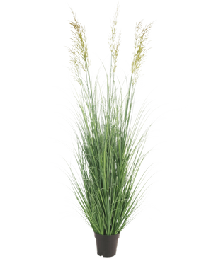 Die feuerhemmende Kunstrasenpflanze Weizen 150 cm ist eine hohe, wartungsfreie Pflanze mit schlanken grünen Blättern und Federn in einem Topf – ideal als Gartendekoration, dargestellt vor einem schlichten weißen Hintergrund.