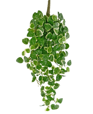 Künstliche Hängepflanze Pumila 50 cm