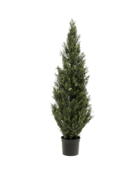 Pino UV 120cm