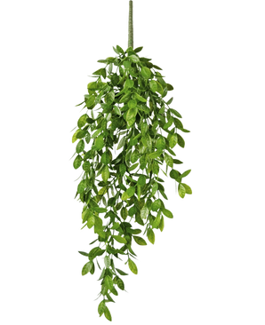 Die künstliche Hängepflanze Gardenia 61 cm ist eine künstliche Hängepflanze mit üppigen, grünen Blättern und einem einzigen sichtbaren Stiel vor einem schlichten weißen Hintergrund.