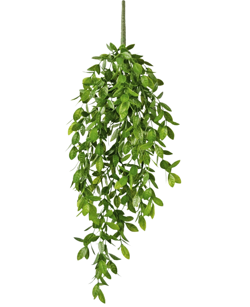 Die künstliche Hängepflanze Gardenia 61 cm ist eine künstliche Hängepflanze mit üppigen, grünen Blättern und einem einzigen sichtbaren Stiel vor einem schlichten weißen Hintergrund.