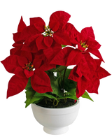 Die Kunstpflanze Weihnachtsstern 44 cm rot ist ein weißer Topf mit einer Weihnachtssternpflanze mit leuchtend roten, sternförmigen Blättern und grünem Blattwerk vor einem schlichten weißen Hintergrund.